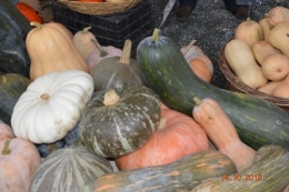 champignons,citrouilles,st Mayme de Péreyrol,fuschias,jardin aut 072.JPG