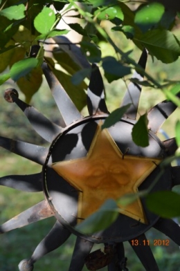 kiwi,kaki