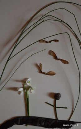 matin d'hiver,tableaux de fleurs janvier 069.JPG