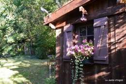 jardin,puces Lasmonzie,asters 017.JPG