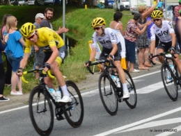 tour de France,jardinde Mme Peyrichou 140.JPG