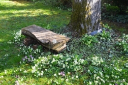 jardin en mars 155.JPG