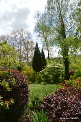 jardin printemps 137.JPG