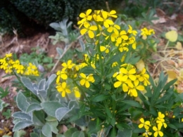 avil2012 065.JPG