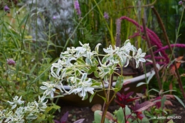 Fleurettes,Dordogne,jardin 117.JPG