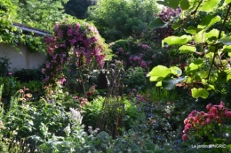 jardin pluie,Inès,Bébés cygnes,bouquet,canal 088.JPG