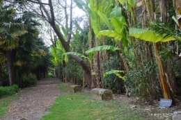 la Roque Gageac,Ines,jardin 024.JPG