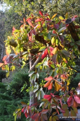 male ancienne,septembre jardin,couronne,bouquet 080.JPG