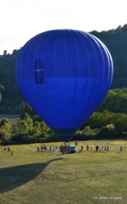 Vol mongolfière,compo fleurs grenouille 028.JPG