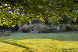 male ancienne,septembre jardin,couronne,bouquet 095.JPG