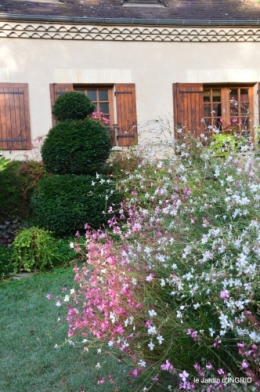 jardin en septembre,les cygnes 089.JPG