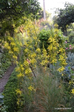 sentier des cygnes,hémérocalles,bouquet,jardin 079.JPG