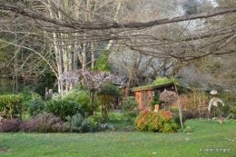 printemps jardin, 056.JPG