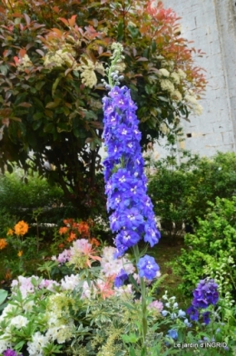 Colombier,Cadouin,jardin,roses,pluie 042.JPG