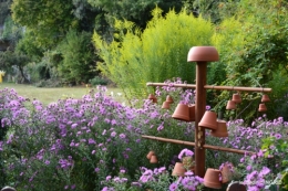 jardin en septembre,les cygnes 030.JPG