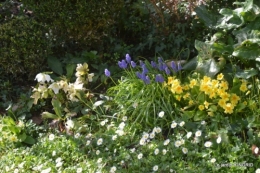 Romane,arbre de Paques,chez Bernadette,jardin 035.JPG