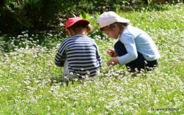 jardin,les filles dans paquerettes 061.JPG