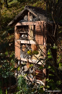 oiseaux,travaux,arbustes,les dernières fleurs 113.JPG