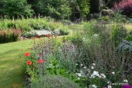 portes ouvertes,taille marguerittes,jardin 042.JPG