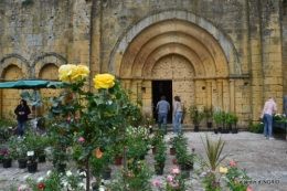 Colombier,Cadouin,jardin,roses,pluie 055.JPG