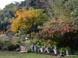 jardin automne,voisinage,canal 048.JPG