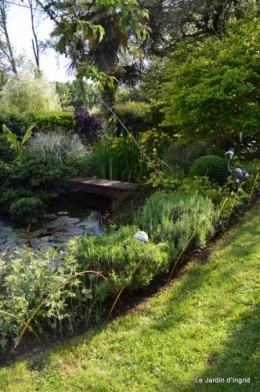 canal,fleurs blanches,marguerites,LE FLEIX,osier 176.JPG