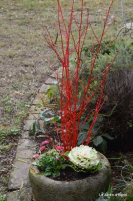 chevreuils,givre jardin et canal,marché de Noel Sarlat 011.JPG