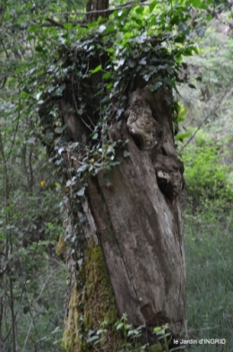 jardin,st Astier,colline 042.jpg