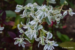 Fleurettes,Dordogne,jardin 116.JPG