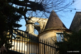 décos Noel au jardin,Sarlat,étoile en osier 112.jpg