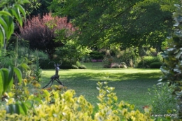 hémérocalles,les filles,les cygnes,la passerelle,moi,jardin 130.JPG