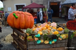 fête de la citrouille,jardinage,jardin 010.JPG