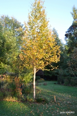 Jardin à l'automne 145.JPG