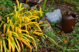 fin de l'automne,Lalinde,bouquet de l'avent 104.JPG