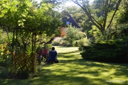 jardin été,hydrangeas,journaliste 165.JPG