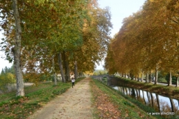 canal automne ,jardin,Ines 117.jpg