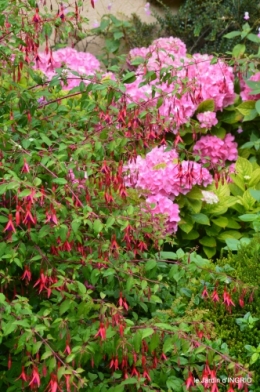 lantanas,pêcheurs,roque st Christophe,cabanes de Breuil,cygnes,p 004.JPG