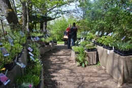 ancolies,jardins de la Brande,les filles et Caro 037.JPG