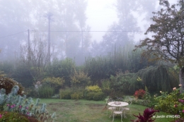 brouillard le matin d'automne 015.JPG