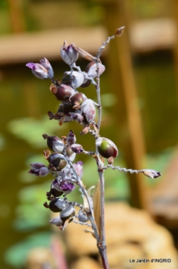 les jardins d'eau de Carsac 128.JPG