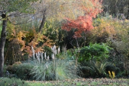 canal automne ,jardin,Ines 033.JPG