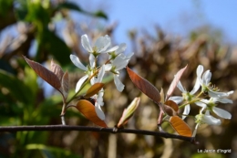 jardin mars 020.JPG