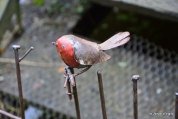 le jardin de la sedelle