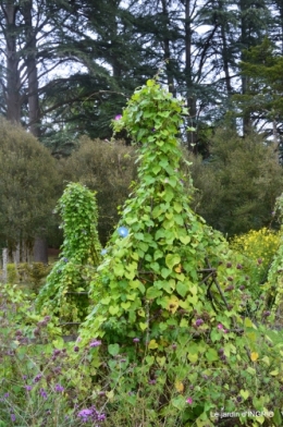 cornouiller,Limeuil,Campagne, 239.JPG