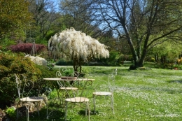 jardin,travail d'osier,Bergerac,St Astier 052.JPG