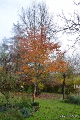 troc,automne,serre 015.JPG