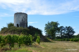 manthe religieuse,Lalinde marché,Land art au Colombier 137.JPG