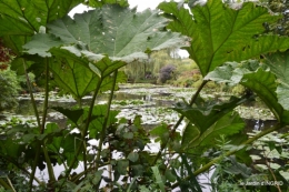 bouquet,jardin de Monet,les vaches,Pourville sur mer 096.JPG