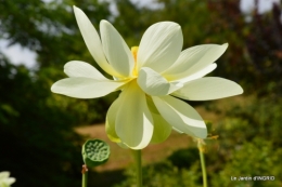 les jardins d'eau de Carsac 032.JPG