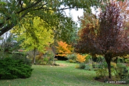 les arbres en automne,cabane 020.JPG